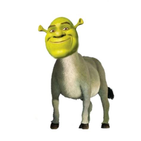 Shrek, donkey, Shrek edit, donkey meme, Shrek meme, donkey edit, funny ...