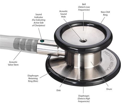 What Is The Diaphragm Of A Stethoscope at Tyson Walsh blog
