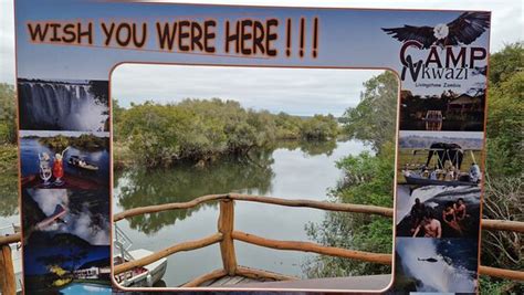 Angle Zambia (Livingstone) - All You Need to Know BEFORE You Go