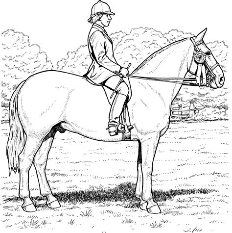 Horse Dressage Coloring Pages