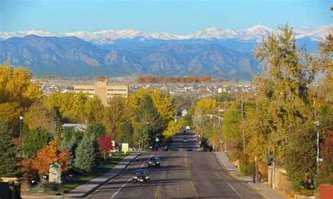 Neon Burst™ Dogwood - Plant Guide