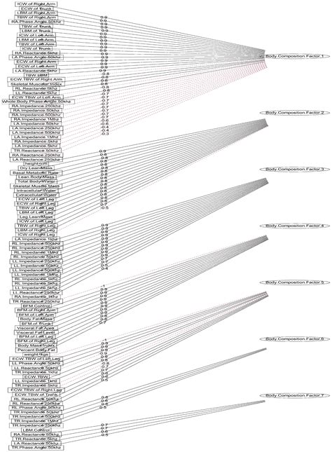 Unveiling Fall Triggers in Older Adults: A Machine Learning Graphical ...
