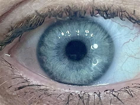 What shade of blue is my eye color? : r/eyes