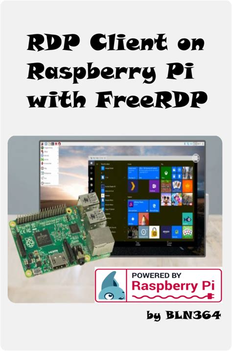 Raspberry Pi RDP Client 的图像结果