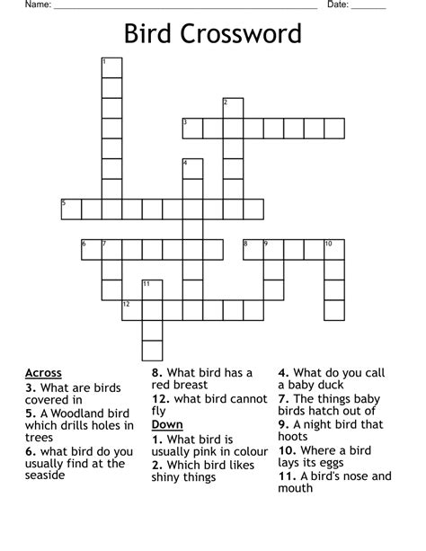 Bird Food Or Person Crossword at Olivia Quinn blog