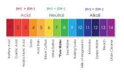 PH Scale: Indicators and Its Types - Science Class 10 PDF Download