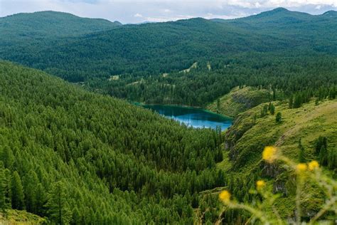 Озёра Алтая для отдыха: топ мест для горных походов