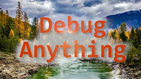 Image result for Debugging Rules