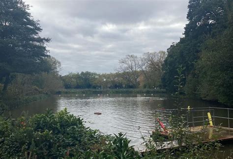 Hampstead Ponds