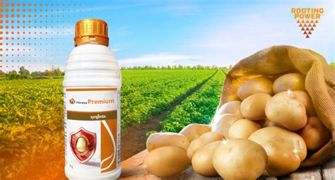 Vibrance Premium | Syngenta