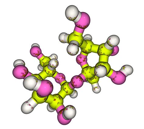 Carbohydrates Elements and Chemistry