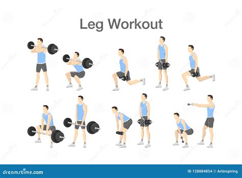 Barbell And Dumbbell Leg Exercises at Francis Snyder blog