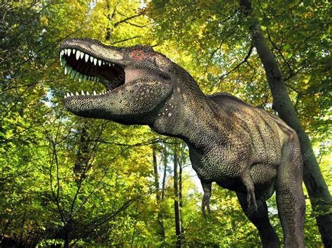Image result for Dinosaur Using Computer Picture