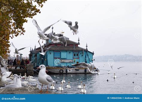 Herzbaracke Cabaret-theatre in Zurich Switzerland Editorial Photo ...