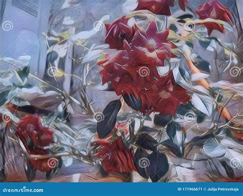 Bushy Red Rose. Flowers in the Garden. Roses on the Flowerbed. the ...