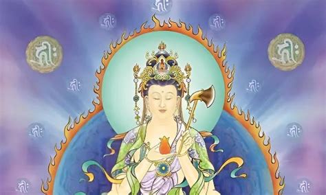 智慧 的图像结果