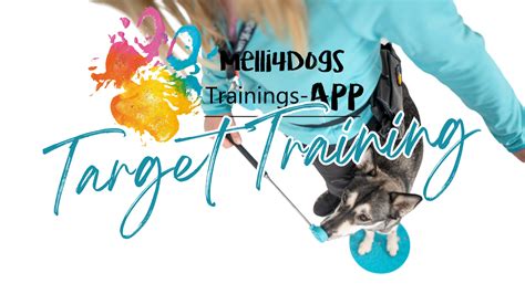 Image result for Target Training for Dogs