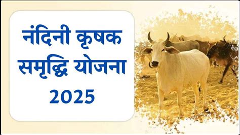 UP Government Nandani Krishak Samridhi Yojana 2025 | Lkonews24