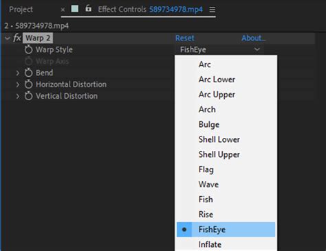 The Ultimate Guide to Using After Effects's Fisheye Effect | Get Unique ...