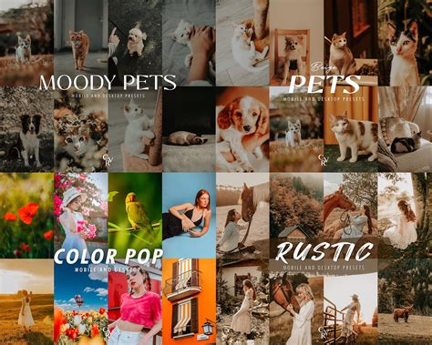 600+ PETS Bundle Presets - Mobile and Desktop - Lightroom Preset Bundle ...