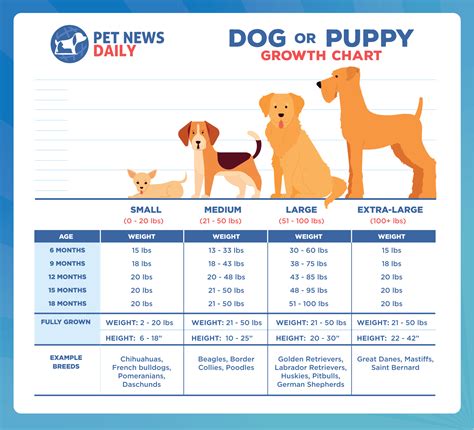 Golden Retriever Growth Chart: Size, Weight Calculations - Puppy Growth ...