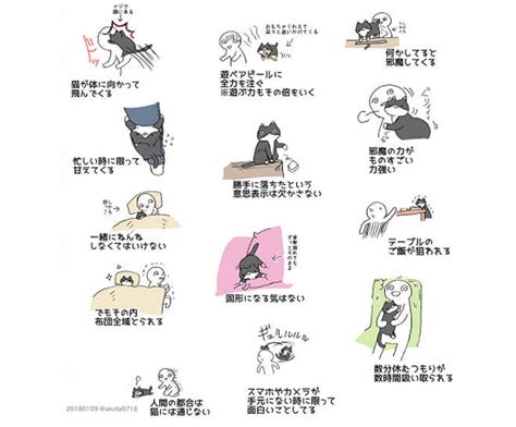 Katzen-Manga auf Twitter lässt Liebhaber-Herzen höherschlagen