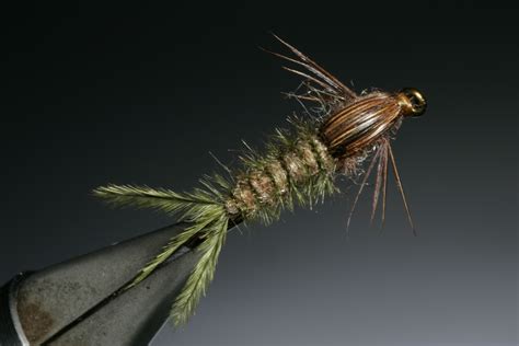 Simple Nymph Patterns Mayfly 的图像结果