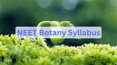 NEET Botany Syllabus 2025 Out, Check Chapter-wise Weightage, Important ...