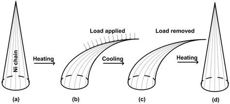 Shape Memory Effect in Micro-Sized Shape Memory Polymer Composite Chains