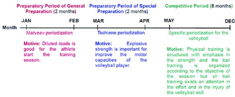 Image result for Example of Periodization