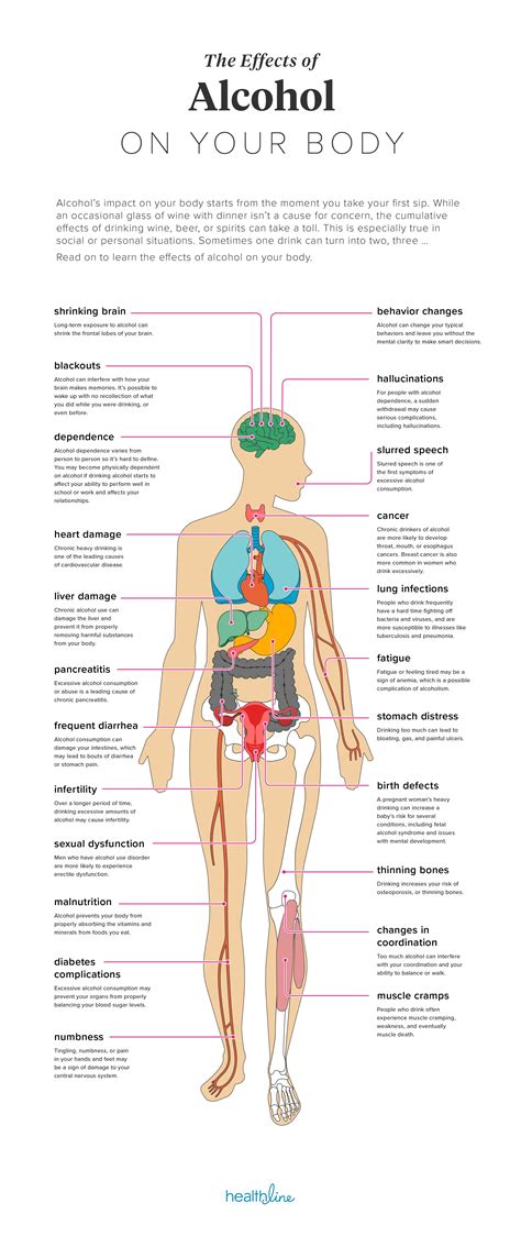Effects of alcohol on the body – Artofit