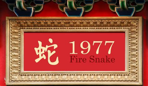 1977 Chinese Zodiac: Fire Snake Year - Personality Traits