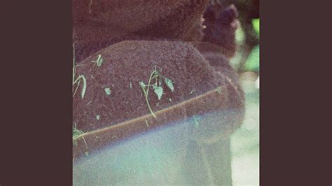 Image result for Spring Instrumental