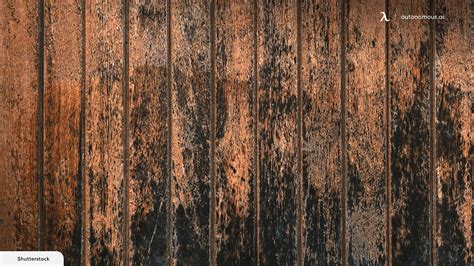 Mildew Vs Mold Mildew Vs Mold: What's The Difference?