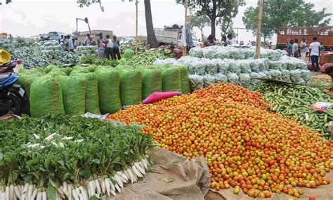 WPI inflation eases to 0.13% in September amid falling food prices