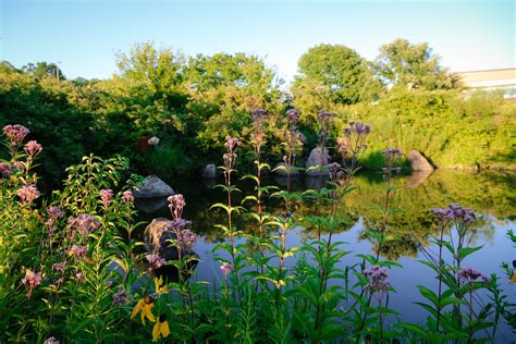 Madison’s Only Destination Wellness Spa | Kneaded Relief Day Spa ...