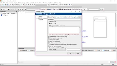Debug in Code Blocks 的图像结果