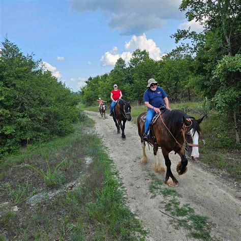 THE CLYDESDALE EXPERIENCE (2026) All You Need to Know BEFORE You Go ...