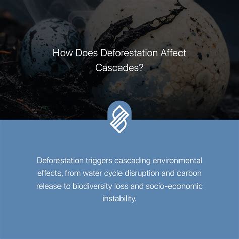How Does Habitat Loss Affect Humans? → Question