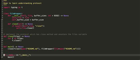 Python Typing Tutorial 的图像结果
