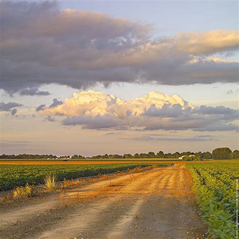 Country Road 的图像结果