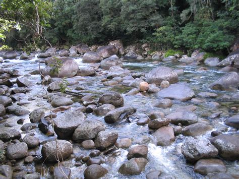 Babbling brook | Pics4Learning