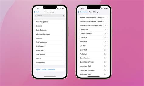 Image result for Control Voice Over On iPhone