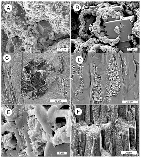 Silicification of Wood: An Overview