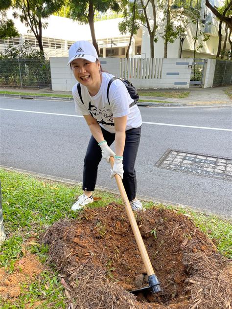 Planting Tree Guide NParks 的图像结果