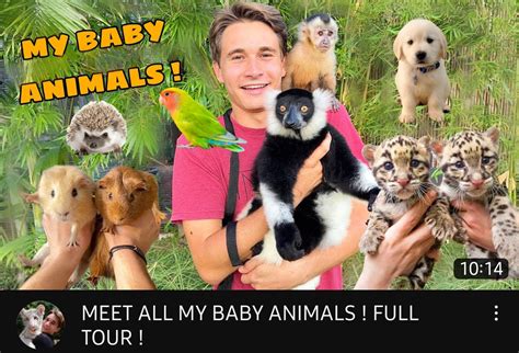 Jacob Feder Lemur 的图像结果