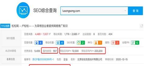 seo公司资源排名(seo公司排行榜)-友软网络
