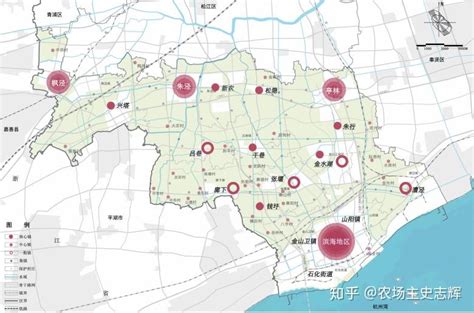 上海唯一！金山区入选全国青年发展型城市建设试点名单_政策_金山区_青年