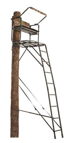 Image result for Bass Pro Shops Ladder Tree Stands