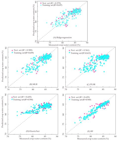 Inversion of Crop Water Content Using Multispectral Data and Machine ...